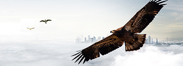 力行PVC-C消防管,PVC-C排水管-耐高温静音排水管生产厂家品牌价格及消防喷淋施工企业推荐-广东pvc-c管,你想了解的PVC-C管信息